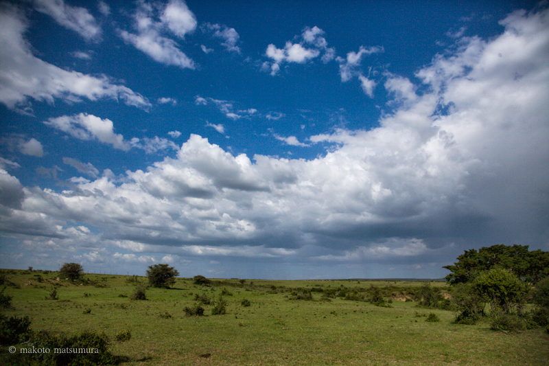 マサイマラ国立保護区
