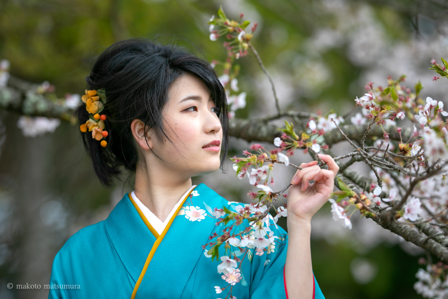 桜の花と共に振袖写真